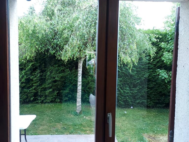 Fenêtre nettoyée donnant sur le jardin