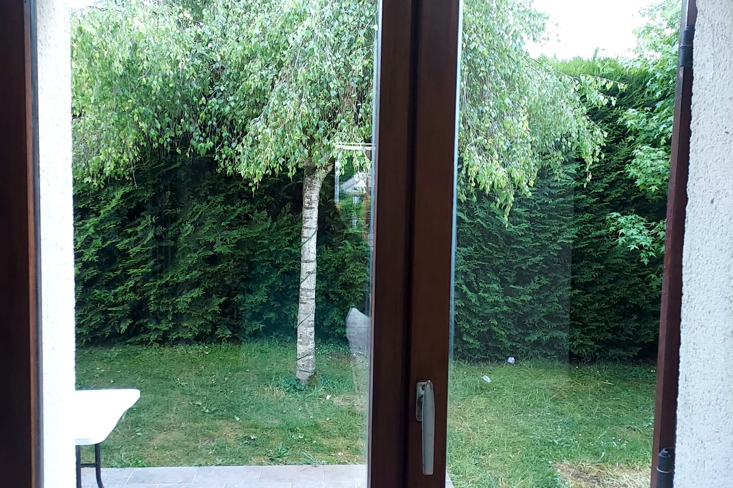 Fenêtre nettoyée avec vue sur le jardin
